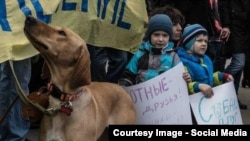 Митинг против эвтаназии бездомных животных, Москва, 2013