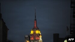 Empire State Building - самое высокое здание Нью-Йорка атакуют клопы и другие насекомые