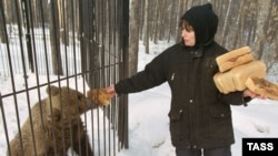 Хлеб - еда не только для людей, но и кормовой продукт, а потому мясо в магазинах тоже вырастет в цене